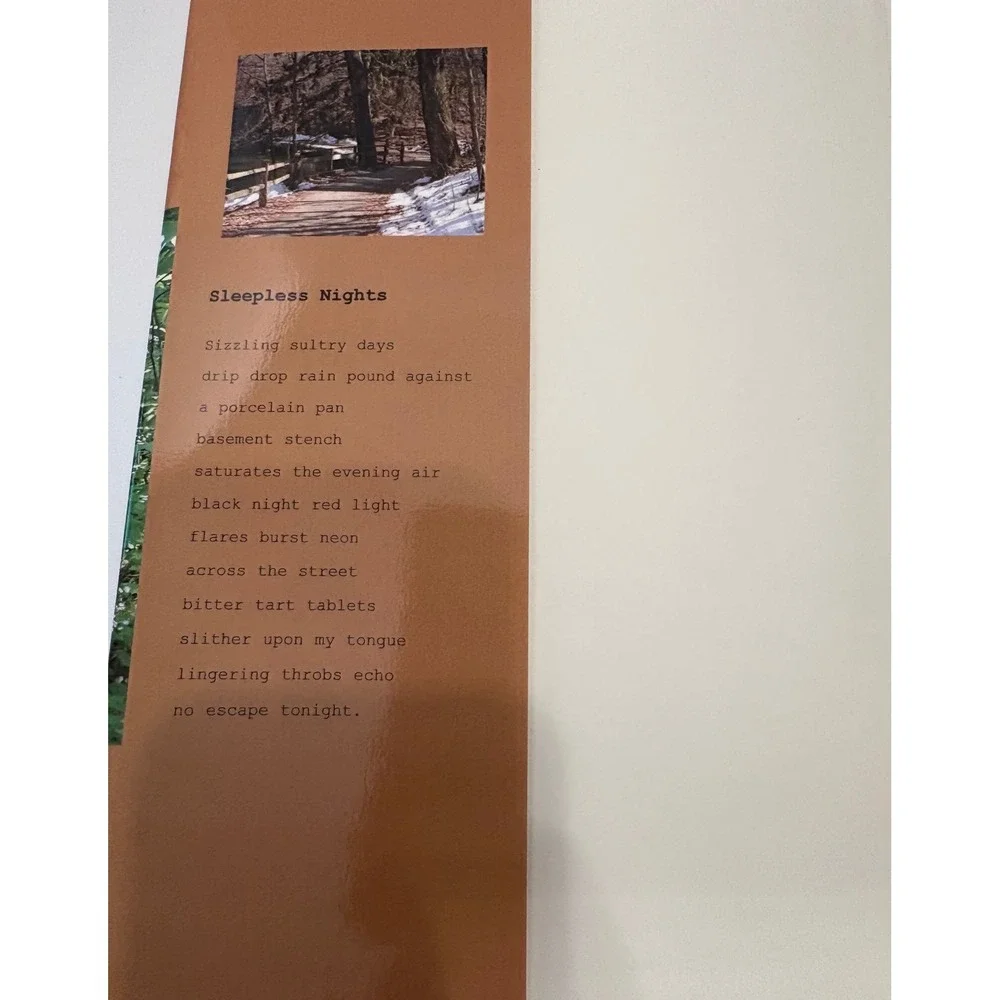 Sleepless Nights Dan Hanosh Chris Appel 2007 Signed Inscribed HC DJ Poetry